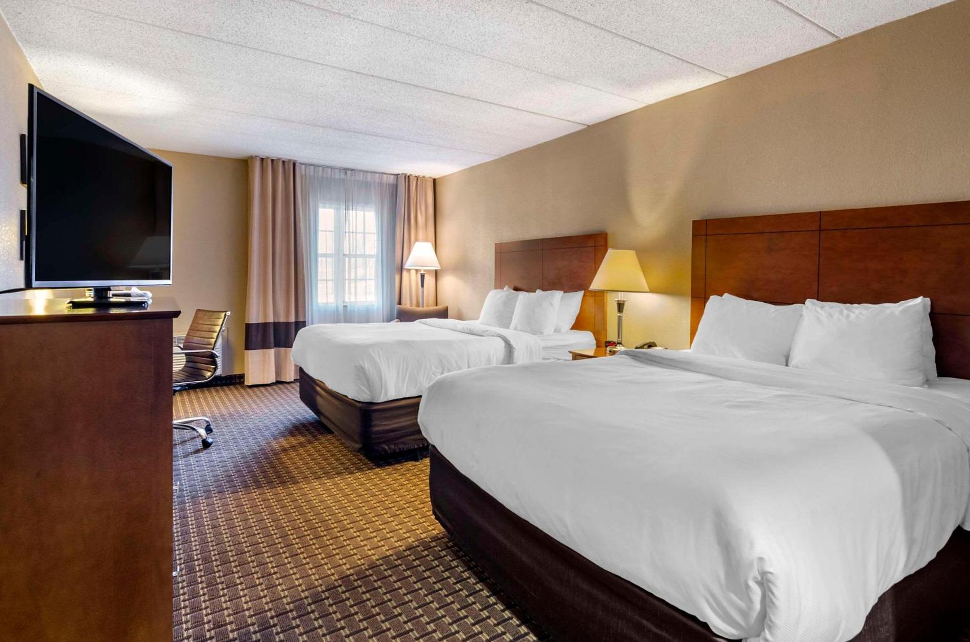 Comfort Inn & Suites Raphine - Lexington Near I-81 And I-64 Exterior foto